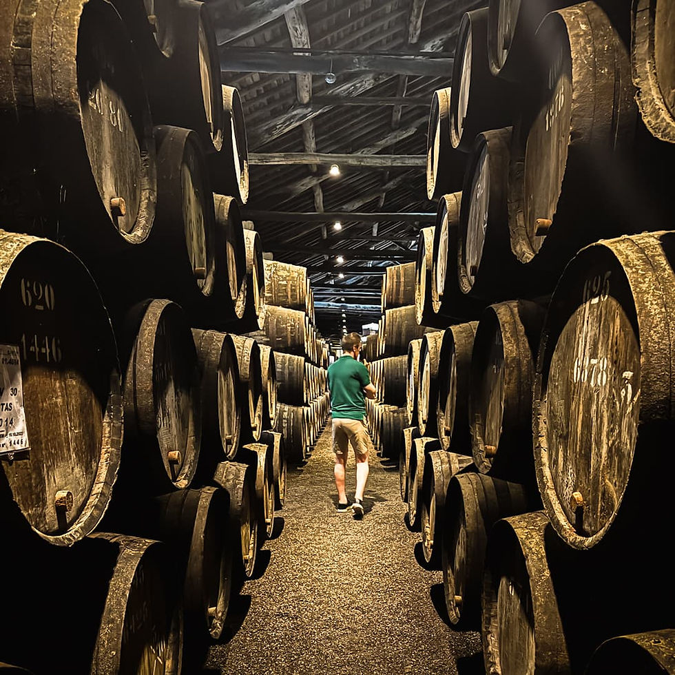 Porto Travel Tips: James walking down a row of barrels, not in the centre of Porto, but in Vila Nova de Gaia across the river.