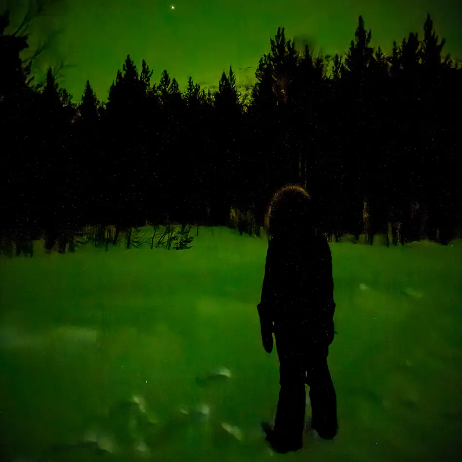 Silhouette of Shal beneath faint green northern lights visible through a camera during a Tromso itinerary aurora chase