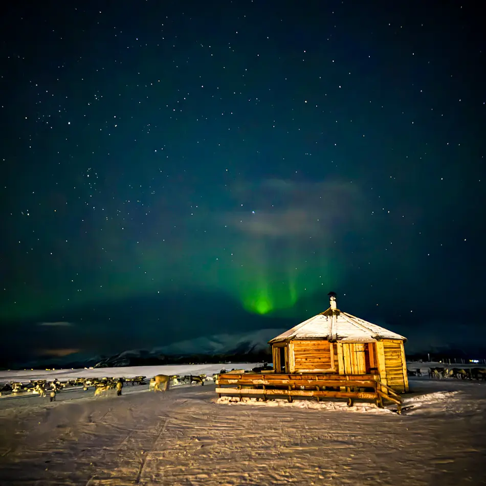 Northern lights glowing green above a wooden cabin and reindeer camp in Tromsø, Norway, with a star-filled Arctic sky — one of the best things to do in Tromso at night.