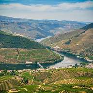 A stunning view of the Douro Valley.