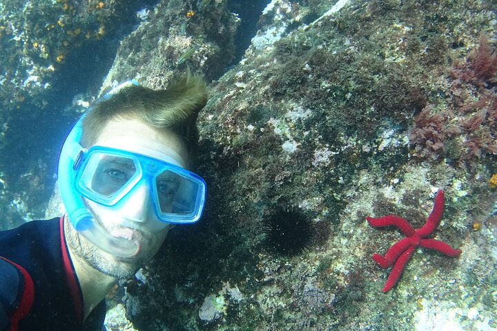 Snorkelen