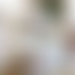 The Science of Sleep: Why Quality Bedding Impacts Rest and Wellness