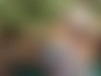 Diane Hopkins: If Only I had Another Week Here