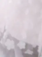 Thumbnail: Princess Holly