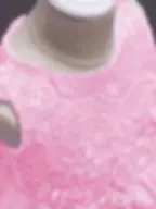 Thumbnail: Princess Anne