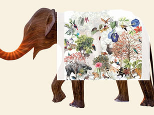 Printing Beyond Categories: Fabric as a Canvas for Art