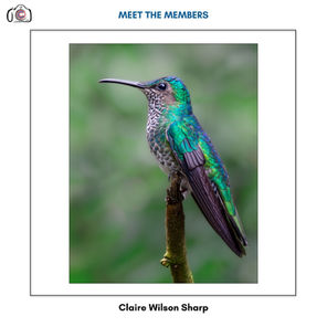 Meet the Members: Claire Wilson-Sharp