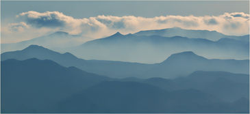 Scapes and Photographer of the Year Results
