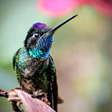 Facebook Photo of the Month Winner: Jamie Kirk