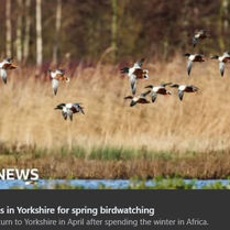 Otley Camera Club’s Newest Member Featured by the BBC