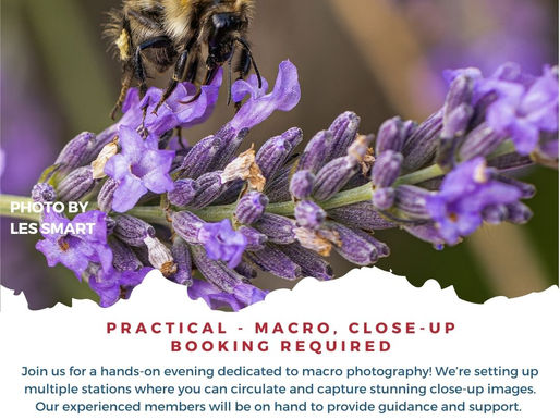 Explore the Tiny World of Macro Photography – Join Our Hands-On Evening!