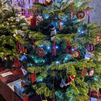 🎄✨ Otley Camera Club's Christmas Tree ✨🎄