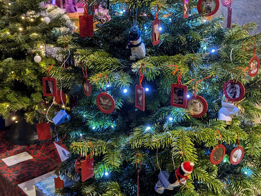 🎄✨ Otley Camera Club's Christmas Tree ✨🎄
