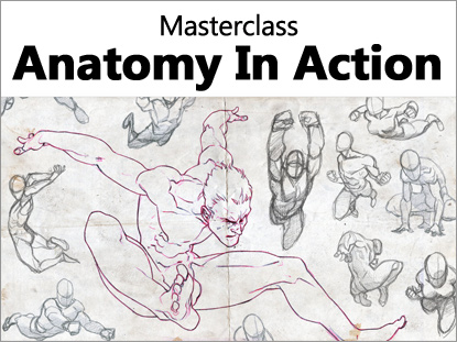what to do with masters of anatomy what to do with masters of anatomy