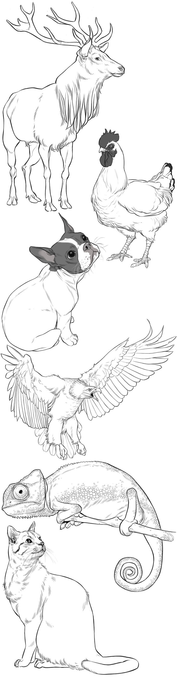 realistic-animals.jpg