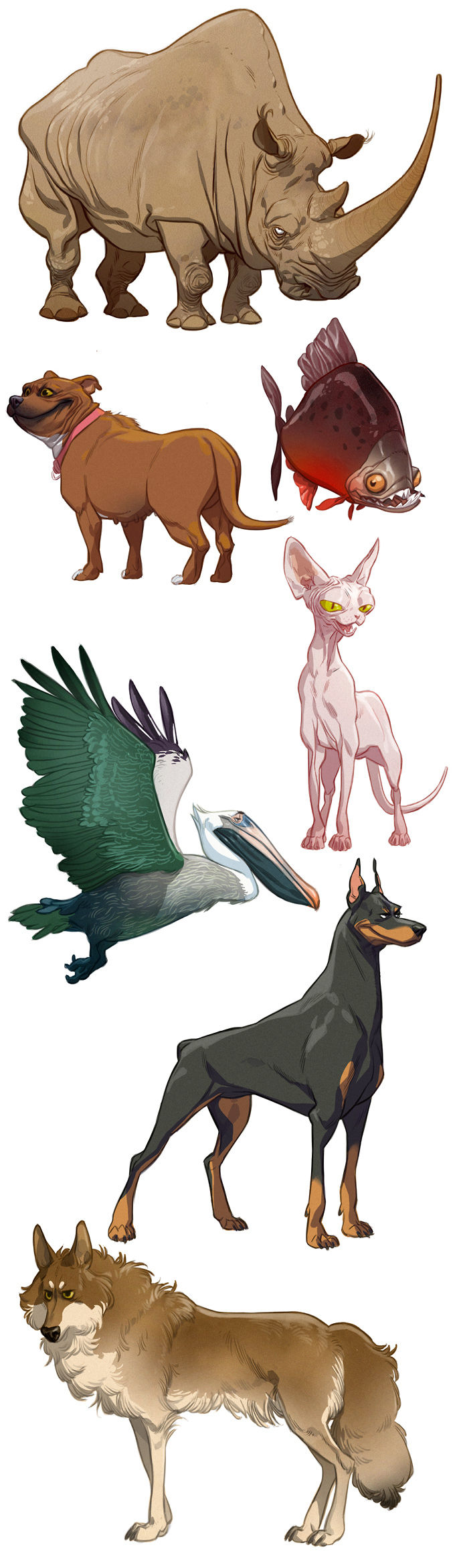masters_of_anatomy_cartoon_animals_all_f