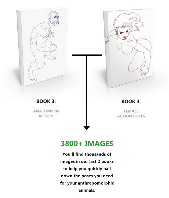 3800_images.jpg