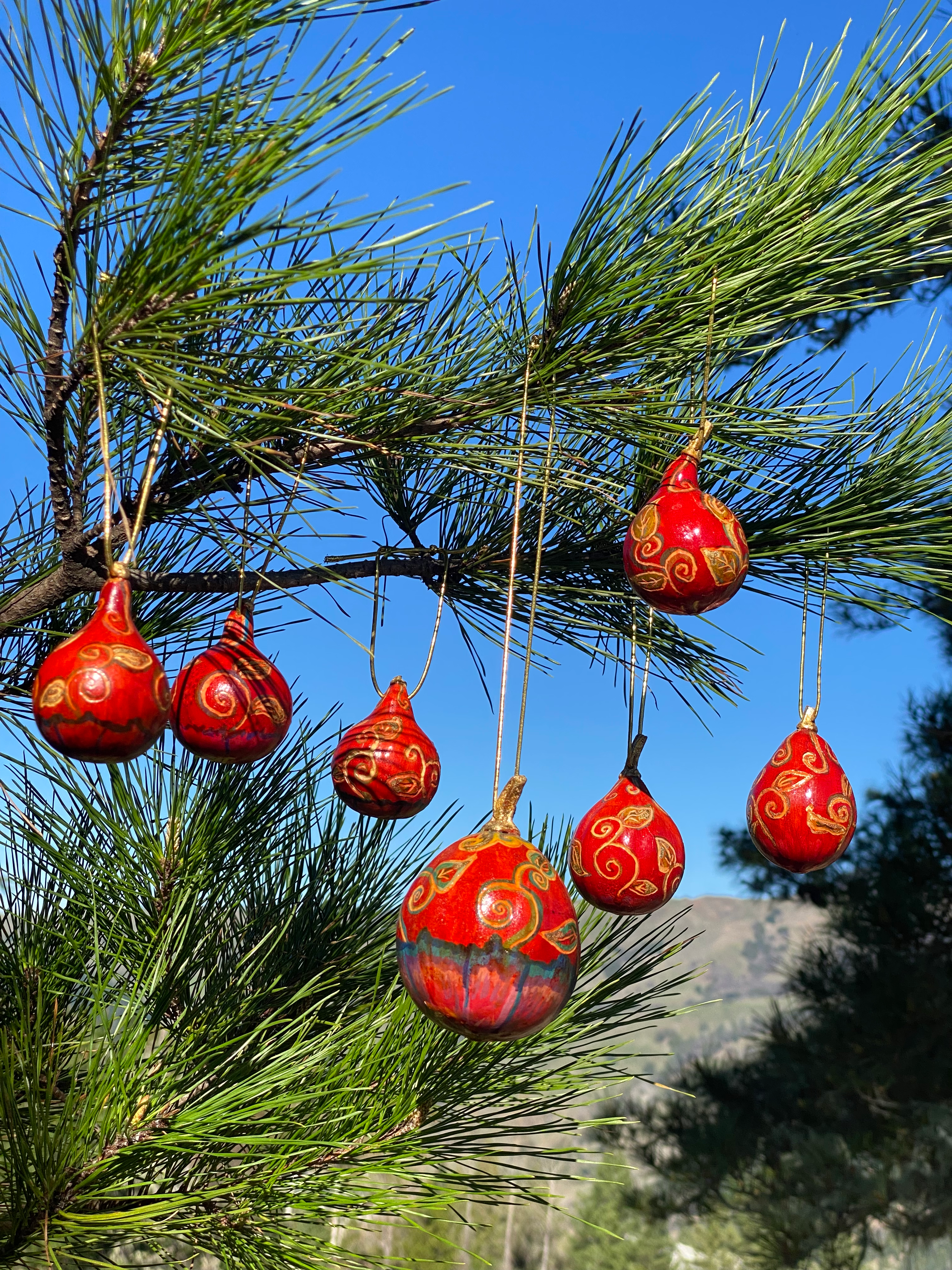 Set of 8 - Ornamental Gourd