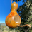 Thumbnail: Bottle Gourd Birdhouse