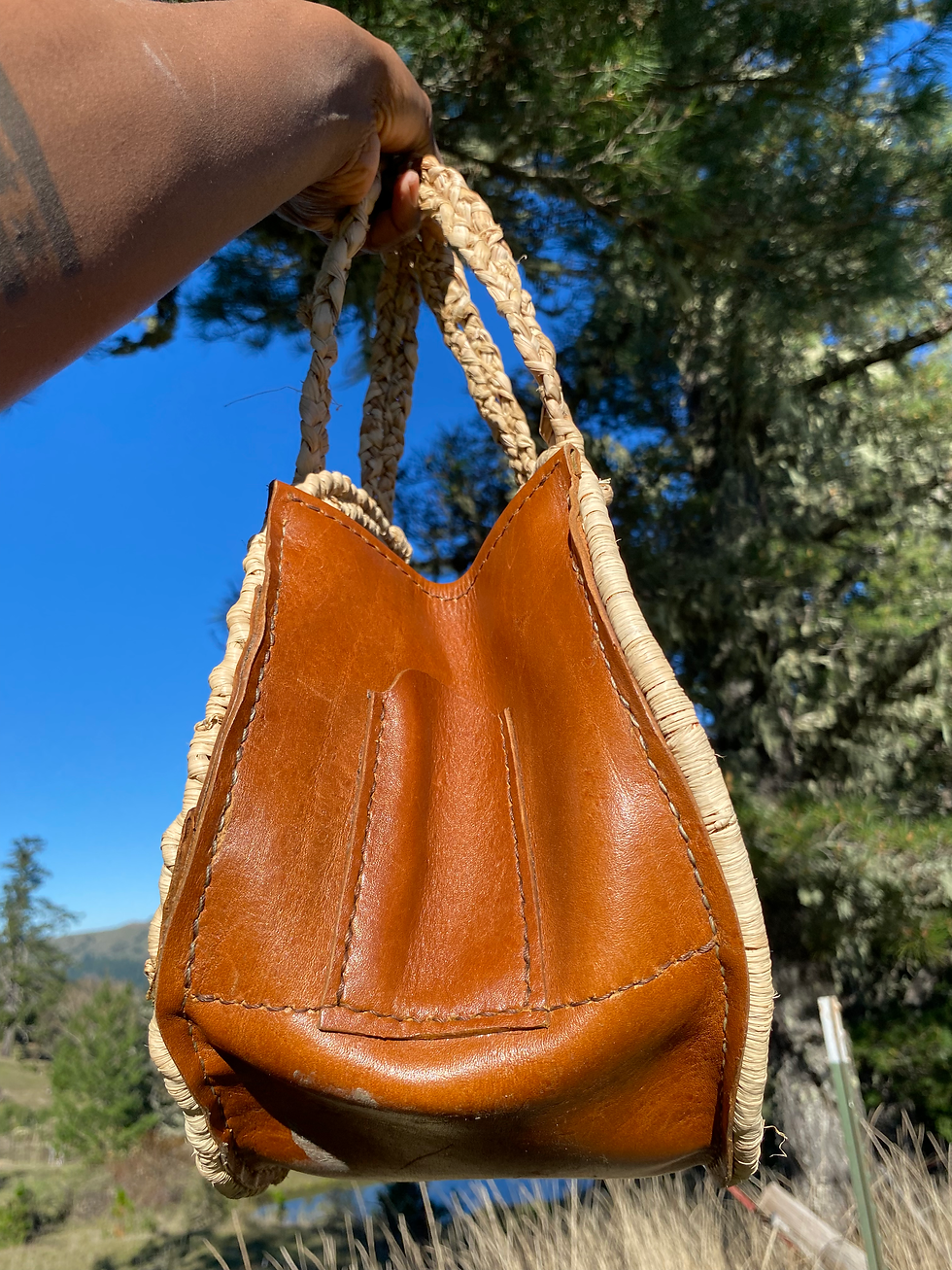 Thumbnail: Sun Purse