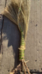 Thumbnail: Whisk Antler broom