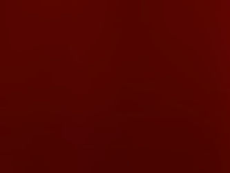 108 Zoom 活动视频