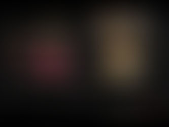 108健康促进会五周年合辑                        5-Year  Anniversary Video Album