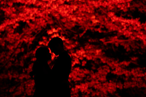 Emerald Stone Photography