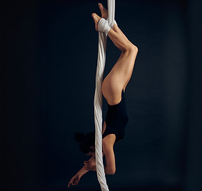 Tissu avancé_edited.jpg