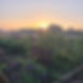 20210907_065050.jpg