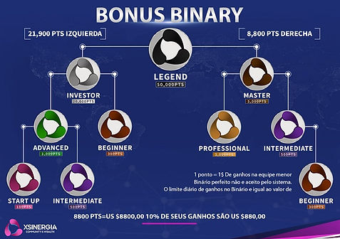 bonus-binário-xsinergia.jpg