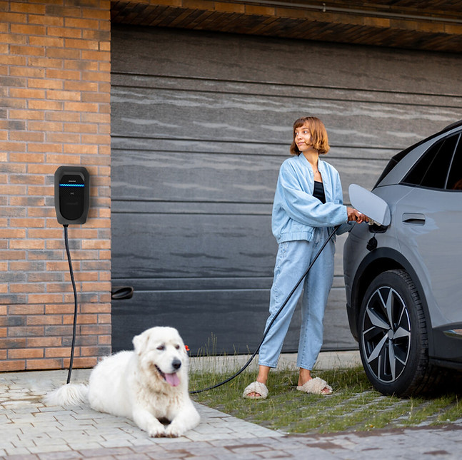 ehome5-girl-dog-home-circontrol-1536x1025.jpg