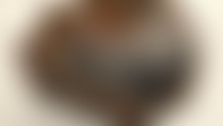 TRANCHE DE BOIS SILICIFIE (200 millions d'années)