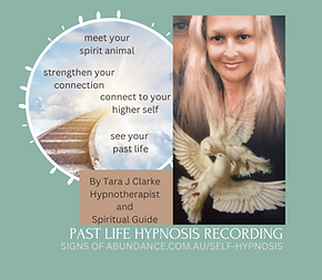 PAST LIFE HYPNOSIS RECORDING..png