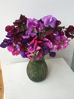 Sweet peas.jpeg