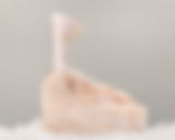 Tomahawk de Pez Espada