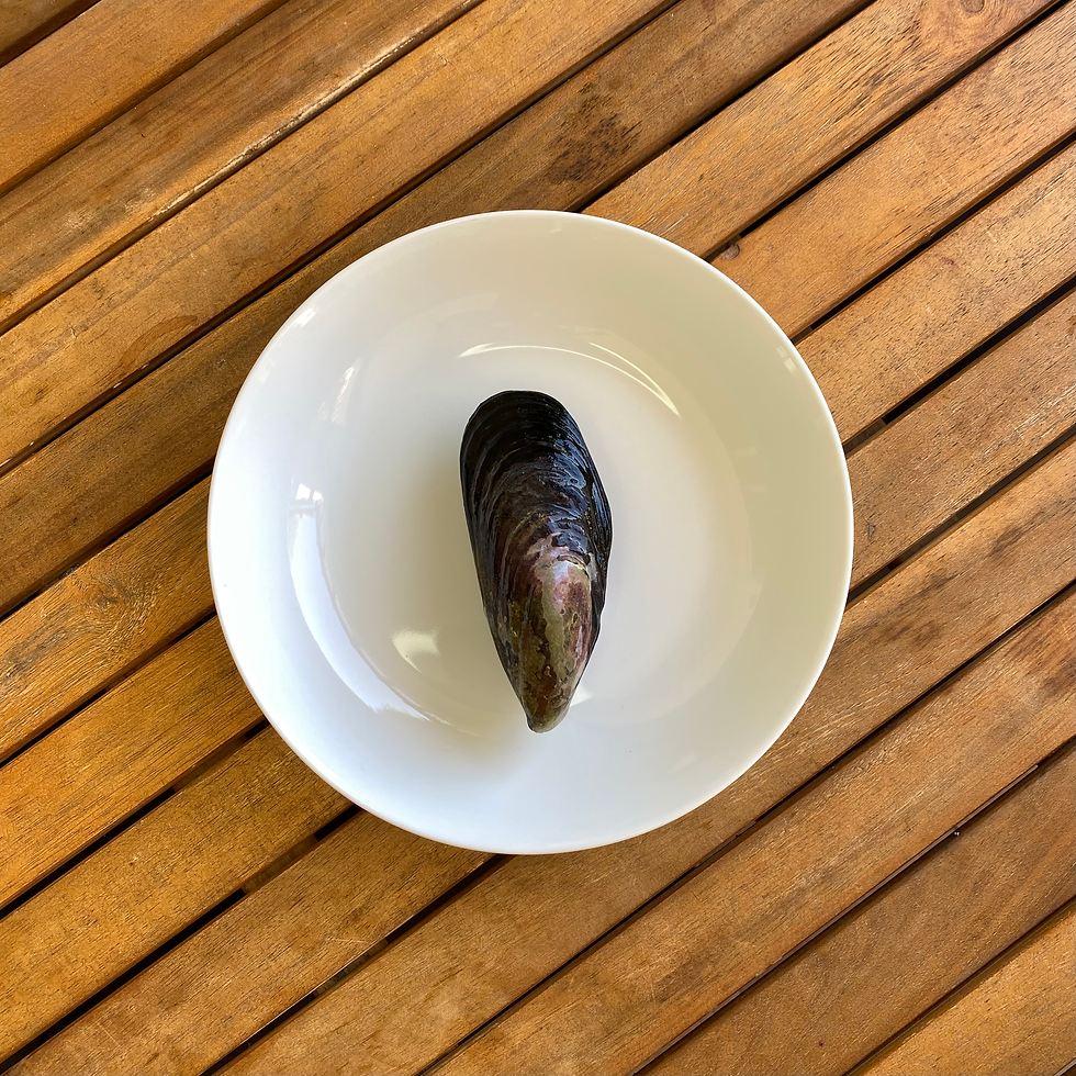 Miniatura: Mejillón salvaje