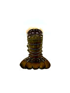 Cola de Langosta verde