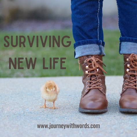 Surviving new life