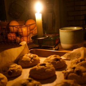 Grain Free Choco Chip Cookies