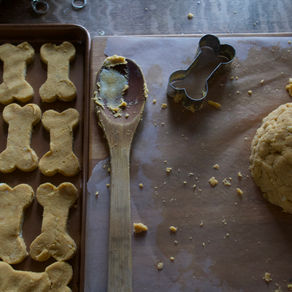 Grain Free DIY Dog Treats