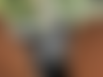 Lexus steering wheel