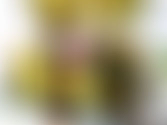 Eggplant rolls stuffed with ricotta and herbs