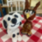 external-file_edited