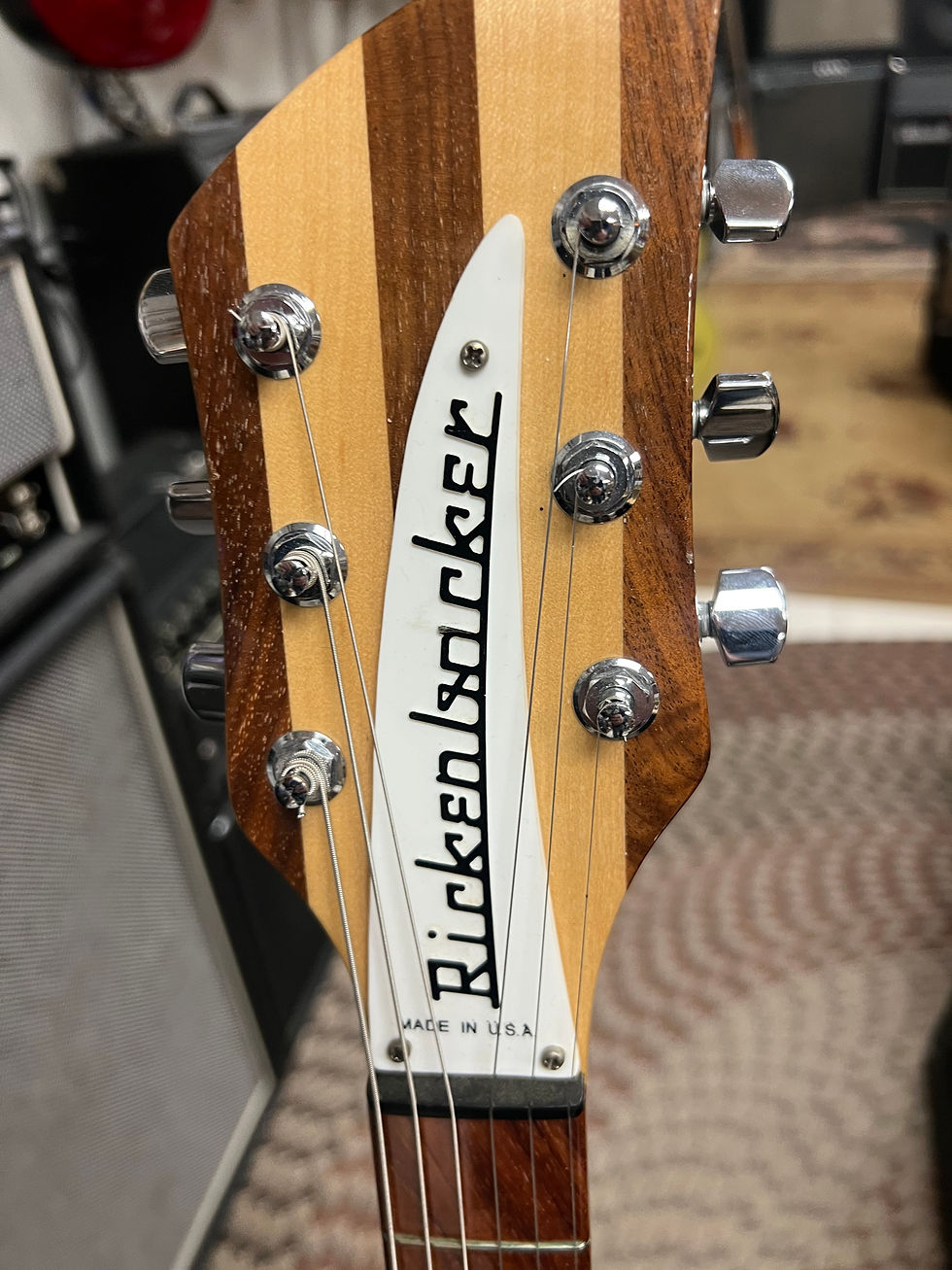 Thumbnail: Rickenbacker 330