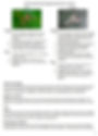 Thumbnail: The Complete Guide To Hummingbirds