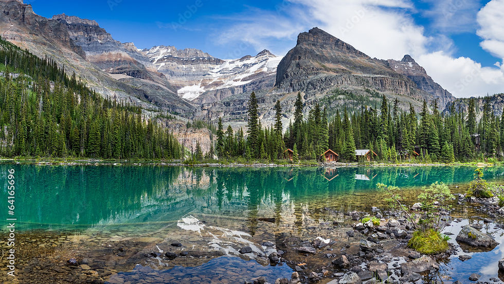AdobeStock_64165696_Preview.jpeg