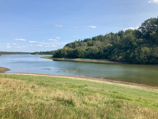 湖(みずうみ)The Lake