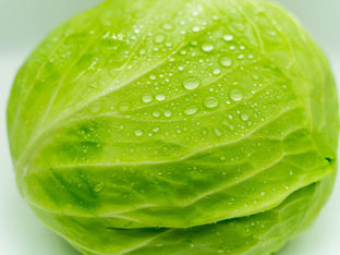 にほんごブログ:おこのみやき