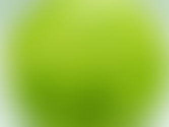 にほんごブログ:おこのみやき